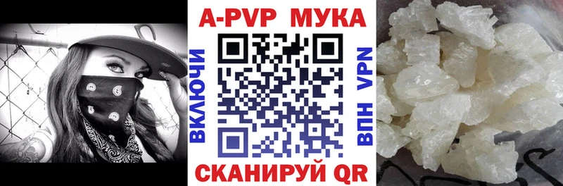 A PVP СК Губкинский