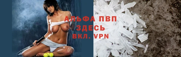 спиды Арсеньев