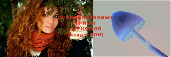 спиды Арсеньев