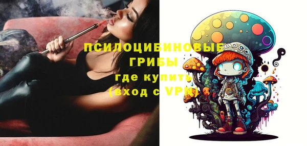 соль ск Балабаново